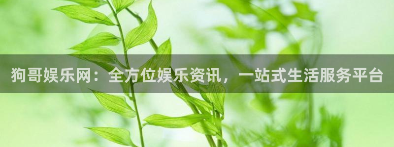 彩名堂官网2：狗哥娱乐网：全方位娱乐资讯，一站式生活服务平台