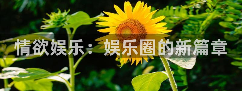 彩名堂计划软件下载：情欲娱乐：娱乐圈的新篇章