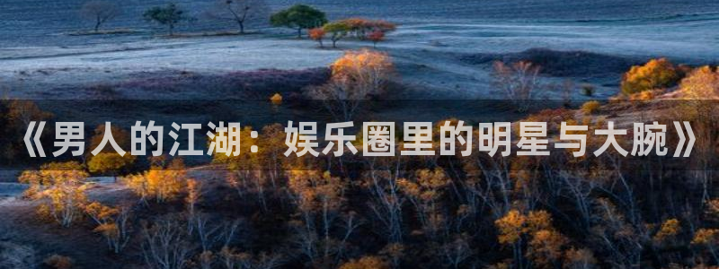 彩名堂怎么样：《男人的江湖：娱乐圈里的明星与大腕》