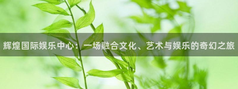 彩名堂计划怎么样：辉煌国际娱乐中心：一场融合文化、艺术与娱乐的奇幻之旅