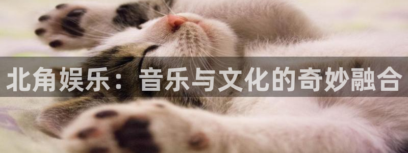 彩名堂官网免费下载：北角娱乐：音乐与文化的奇妙融合