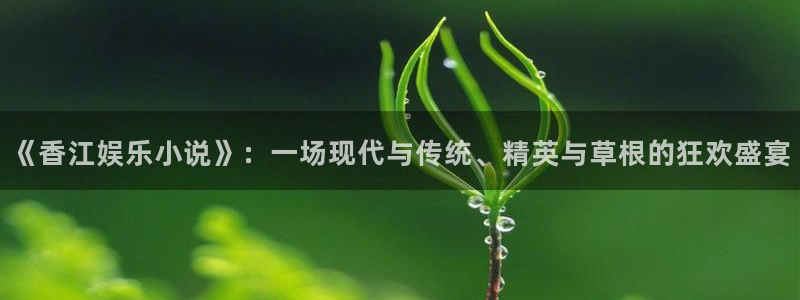 彩名堂计划怎么打不开了：《香江娱乐小说》：一场现代与传统、精英与草根的狂欢盛宴