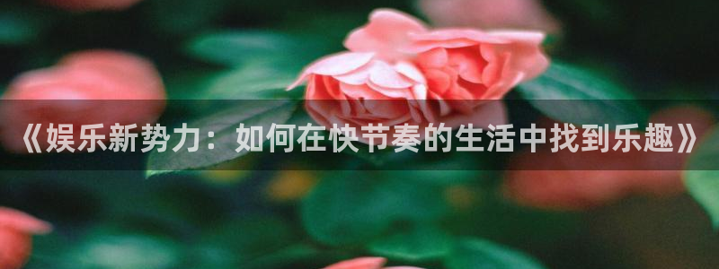 彩名堂全天免费计划官网：《娱乐新势力：如何在快节奏的生活中找到乐趣》