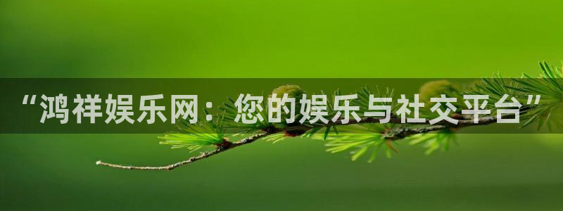 彩名堂6.0计划：“鸿祥娱乐网：您的娱乐与社交平台”