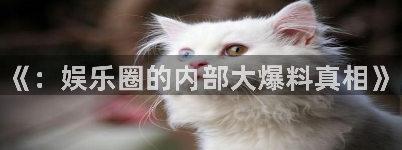 彩名堂人工计划客户端：《：娱乐圈的内部大爆料真相》
