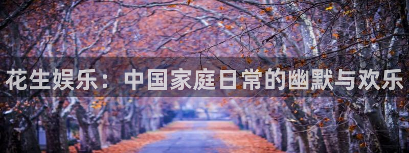 彩名堂：花生娱乐：中国家庭日常的幽默与欢乐