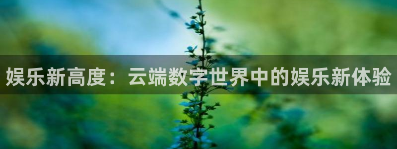 彩名堂官网免费下载：娱乐新高度：云端数字世界中的娱乐新体验