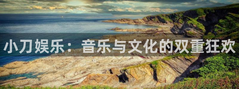 彩名堂计划旧版本：小刀娱乐：音乐与文化的双重狂欢