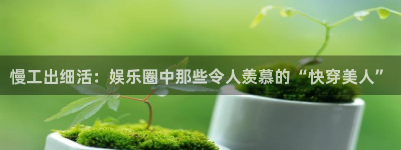 彩名堂计划旧版本：慢工出细活：娱乐圈中那些令人羡慕的“快穿美人”
