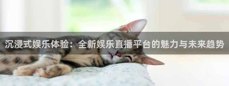 彩名堂计划怎么打不开了：沉浸式娱乐体验：全新娱乐直播平台的魅力与未来趋势