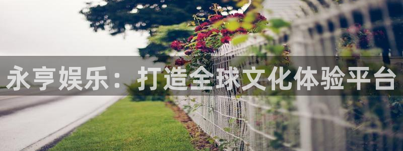 彩名堂人工计划：永亨娱乐：打造全球文化体验平台