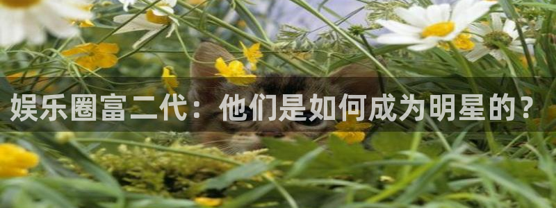 彩名堂使用方法：娱乐圈富二代：他们是如何成为明星的？